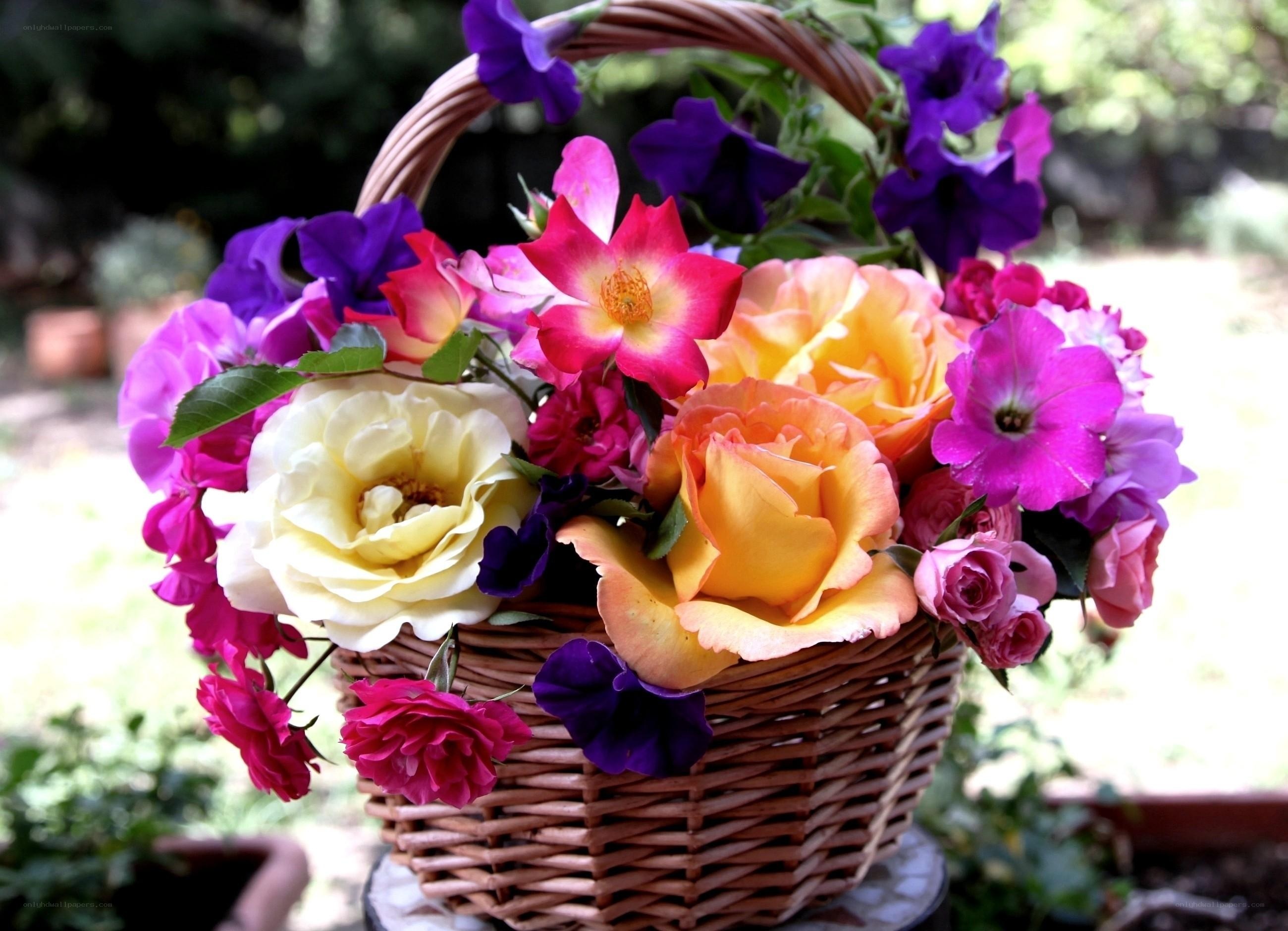 Colorful flower basket