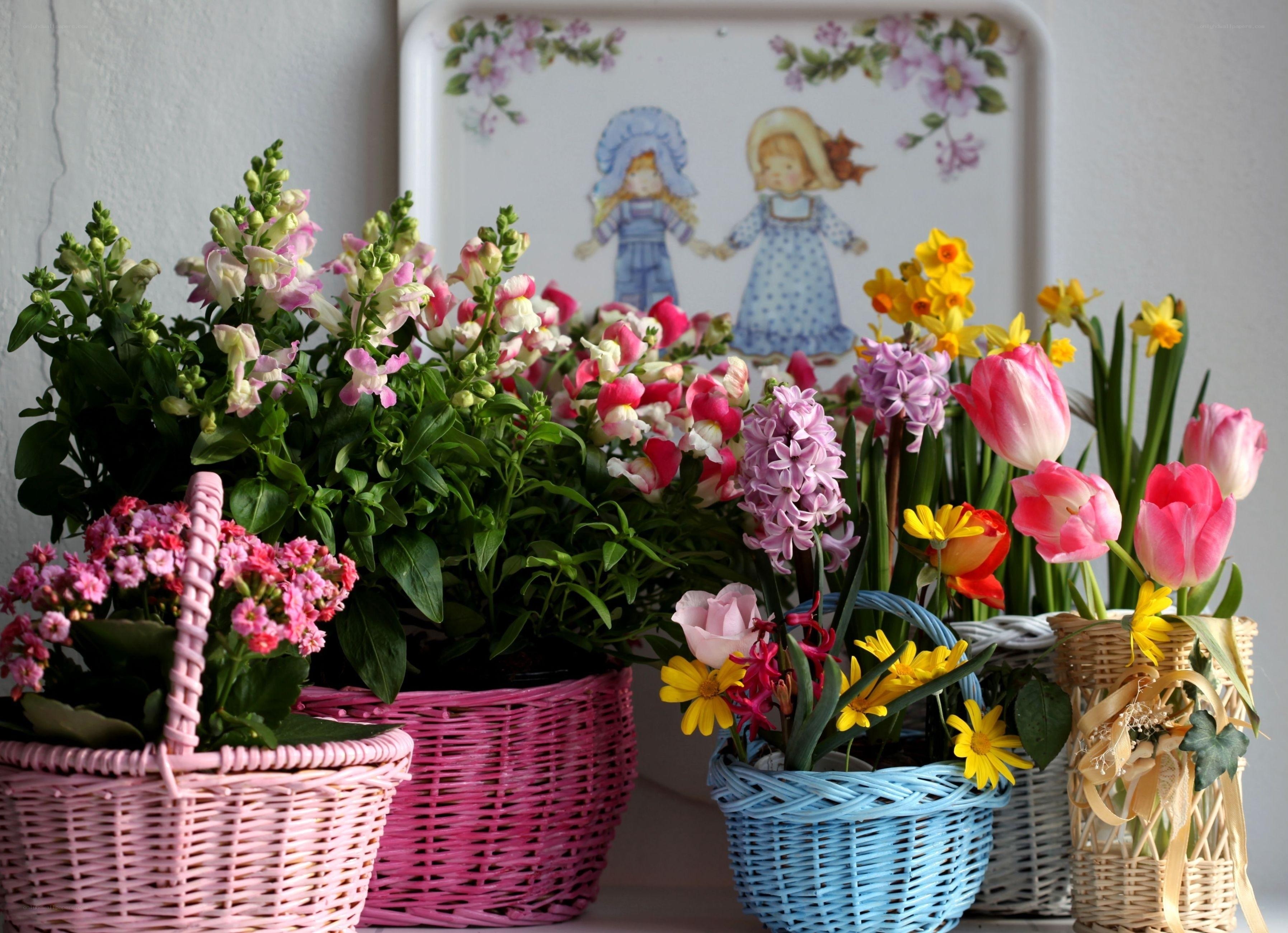 Colorful flower baskets