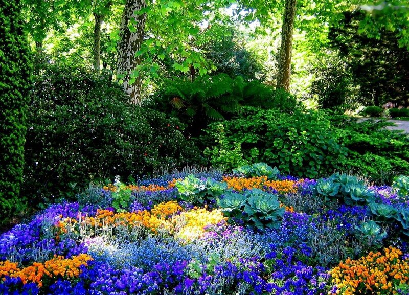 Colorful Flower Bed — Blue, Serene