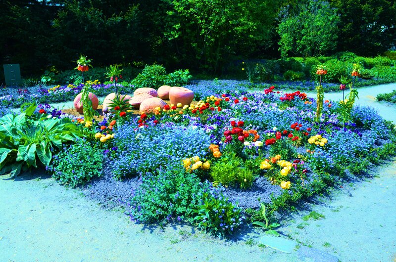 Colorful Flower Bed — Blue, Vibrant