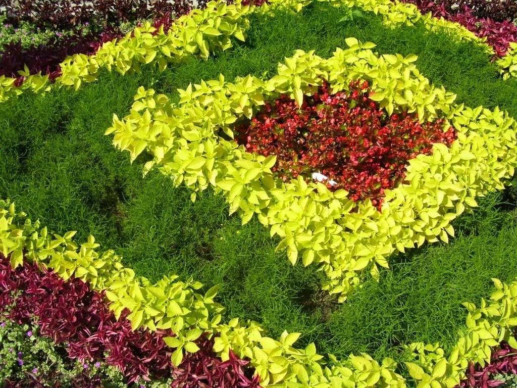 colorful flower bed design