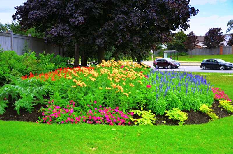 Colorful Flower Bed — Green, Calm