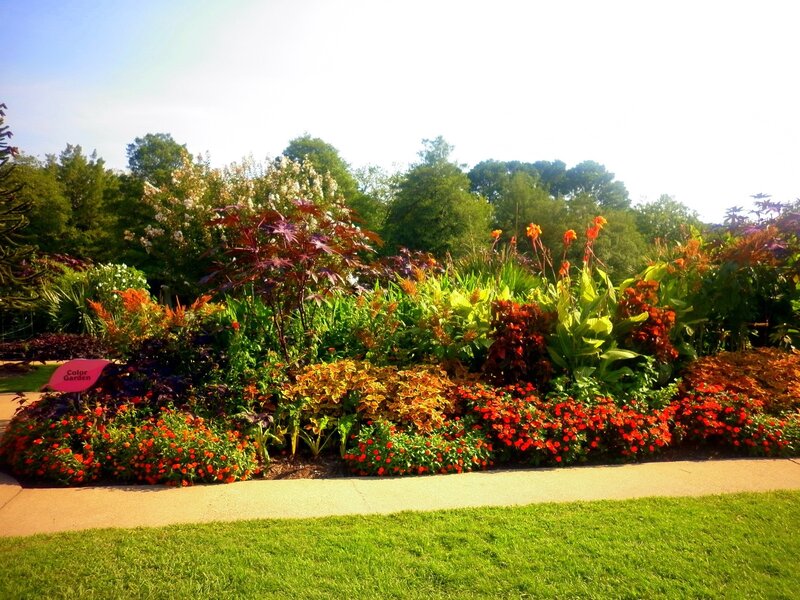 Colorful Flower Bed — Green, Serene, Afternoon