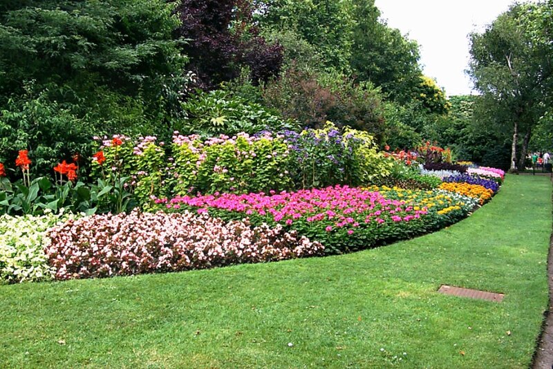 Colorful Flower Bed — Green, Serene