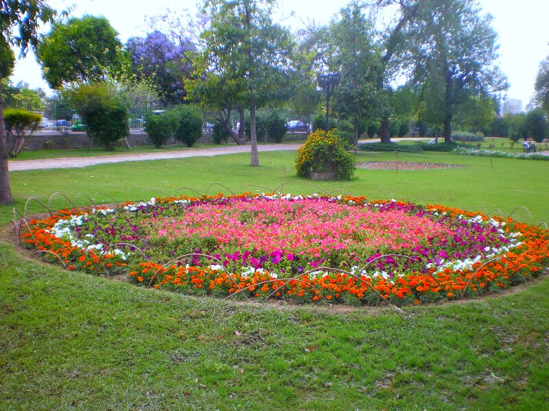 Colorful Flower Bed — Green