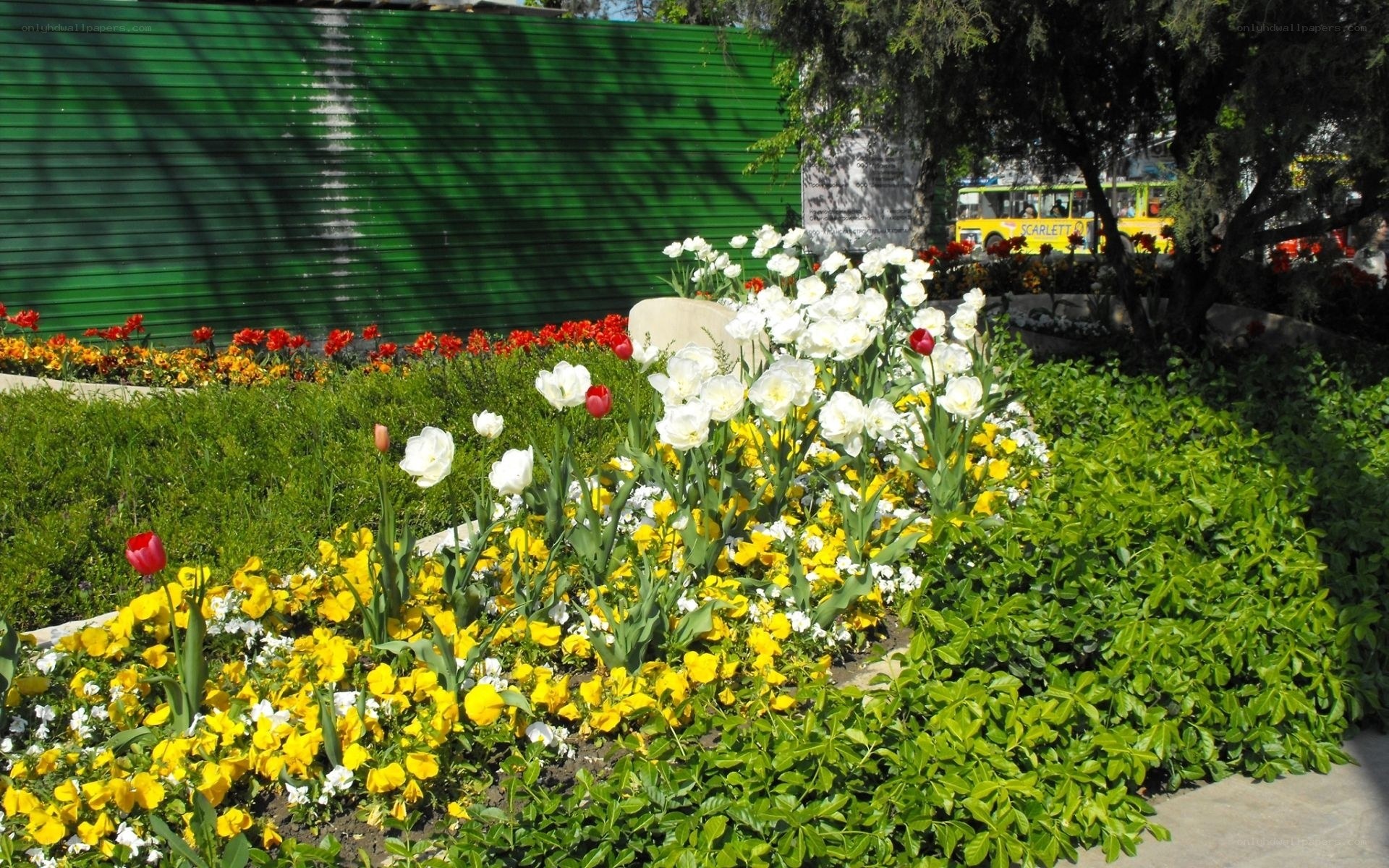 Colorful flower bed in park