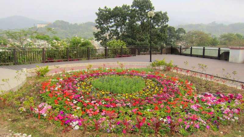 Colorful Flower Bed — Pink, Serene, Afternoon, Photograph