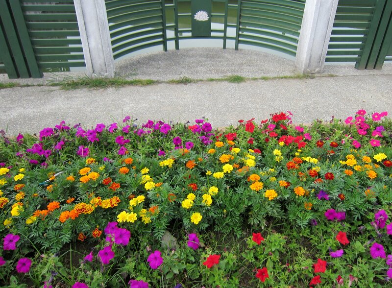Colorful Flower Bed — Purple, Calm