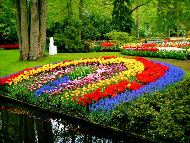 Colorful Flower Bed — Red, Serene, Spring, Photograph