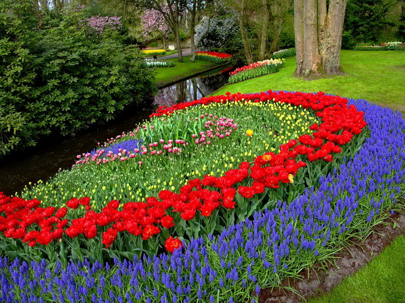 Colorful Flower Bed — Red, Serene, Spring