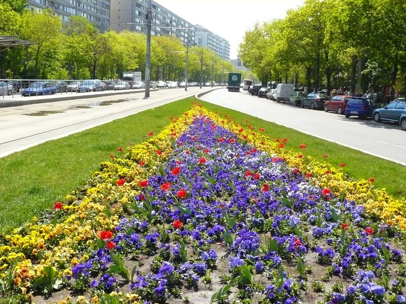 Colorful Flower Bed — Yellow, Calm