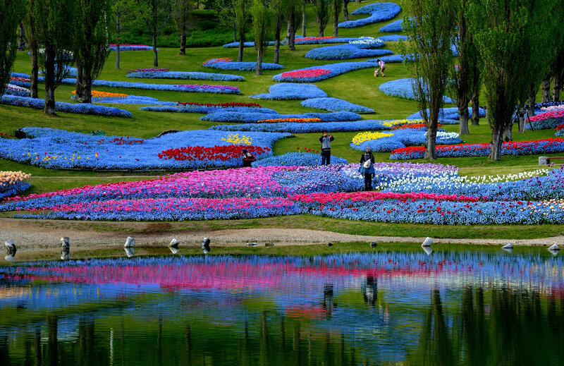 Colorful Flower Beds — Blue, Serene, Spring, Photograph, Trees