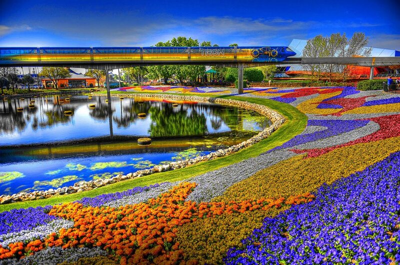 Colorful Flower Beds — Blue, Vibrant