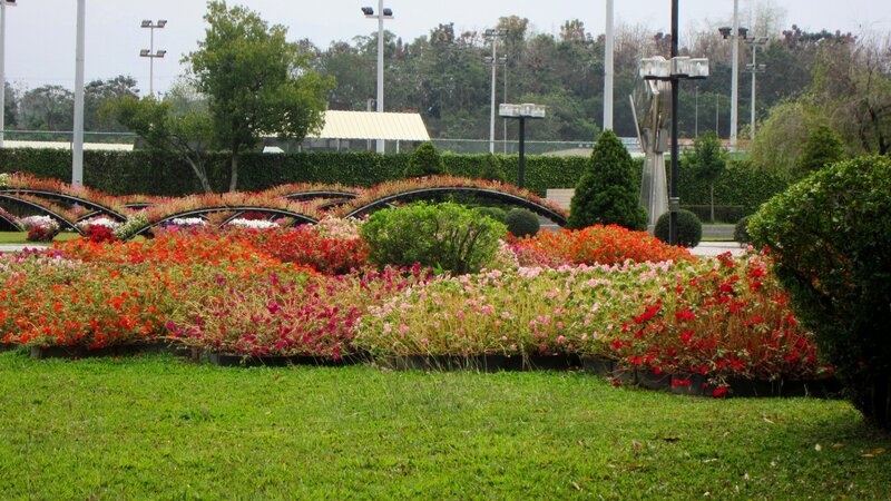 Colorful Flower Beds — Green, Calm