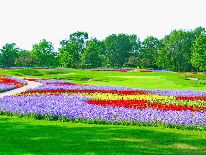 Colorful Flower Beds — Green, Serene, Afternoon, Photograph, Golf Course