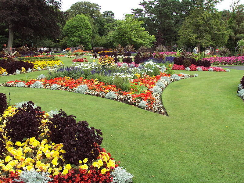 Colorful Flower Beds — Green, Serene, Afternoon