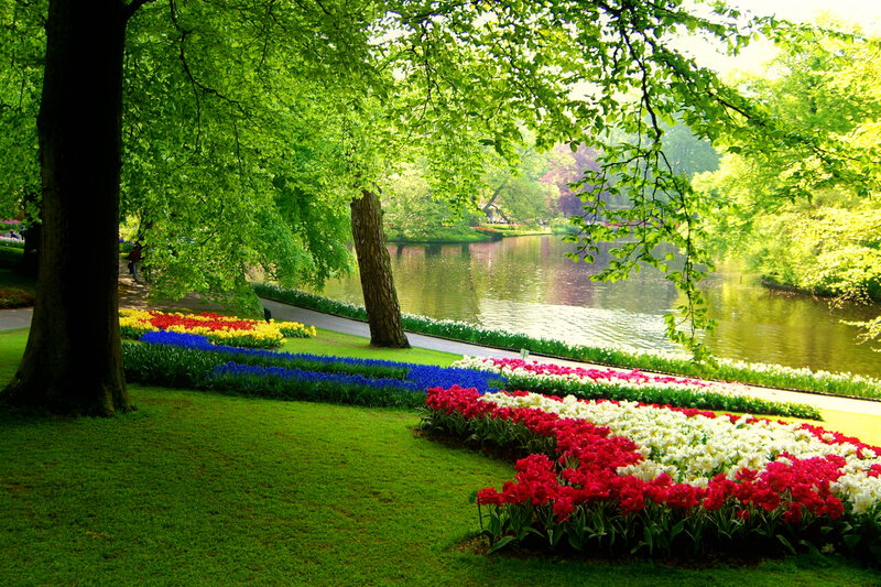 Colorful Flower Beds — Green, Serene, Spring, Photograph