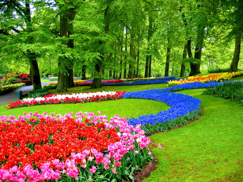 Colorful Flower Beds — Green, Serene, Spring