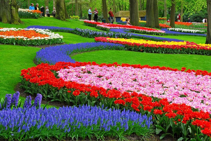Colorful Flower Beds — Green, Serene