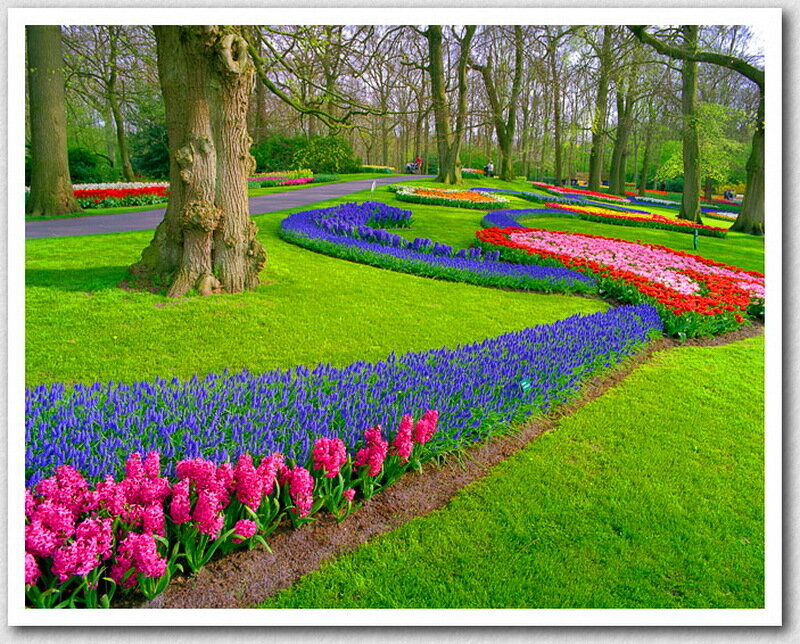 Colorful Flower Beds — Green