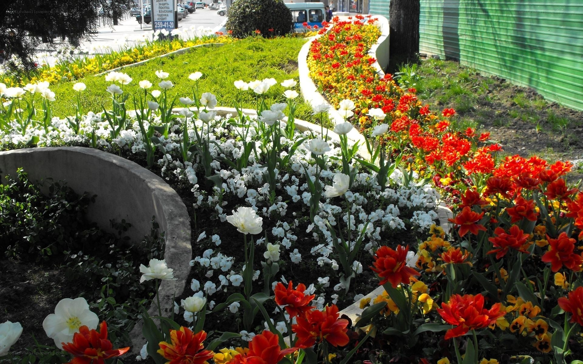 Colorful flower beds in a city park