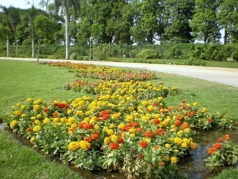 Colorful flower beds in a park