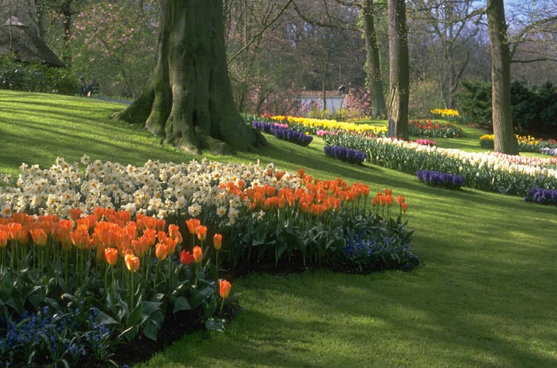 Colorful flower beds in a park