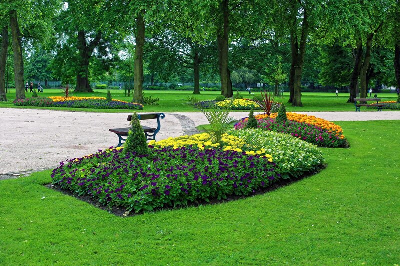 Colorful flower beds in a park