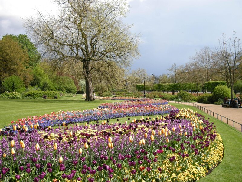 Colorful flower beds in a park