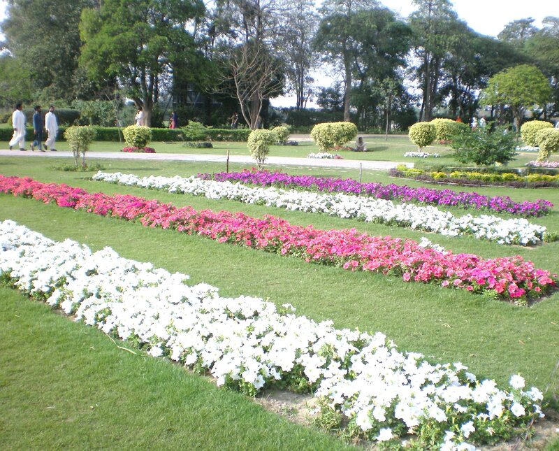 Colorful flower beds in a park