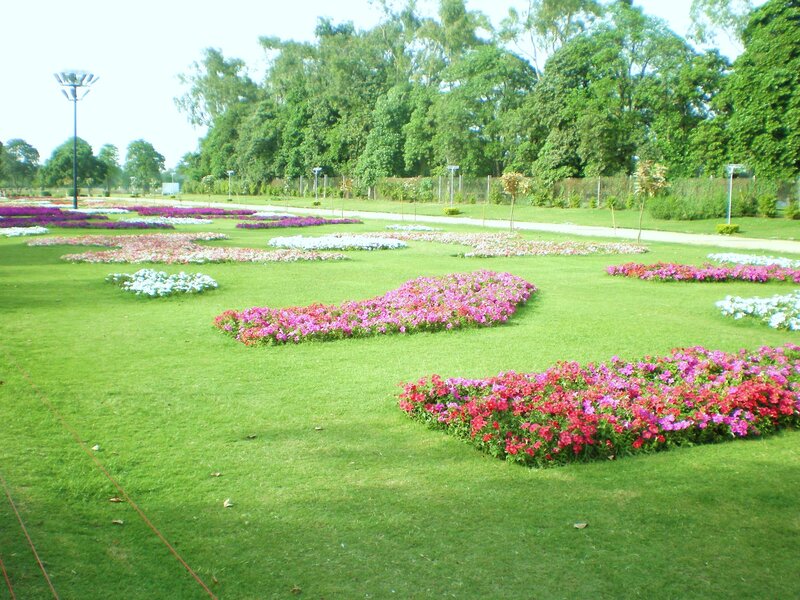 Colorful flower beds in a park