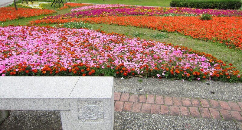Colorful Flower Beds — Pink, Serene, Afternoon, Photograph