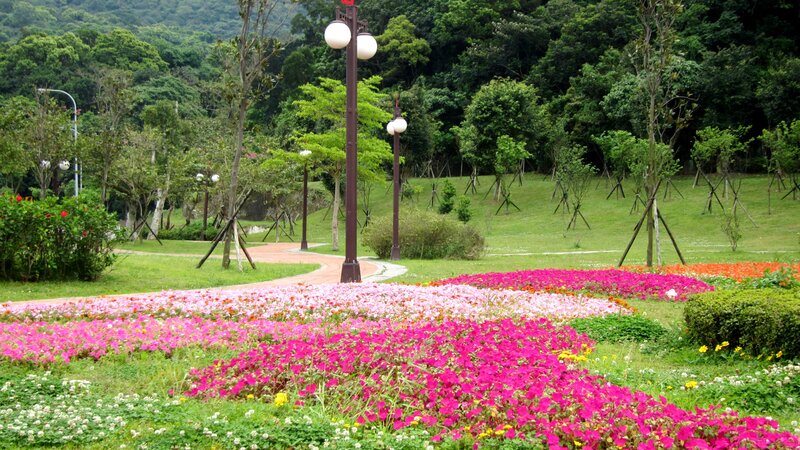 Colorful Flower Beds — Pink, Serene, Afternoon