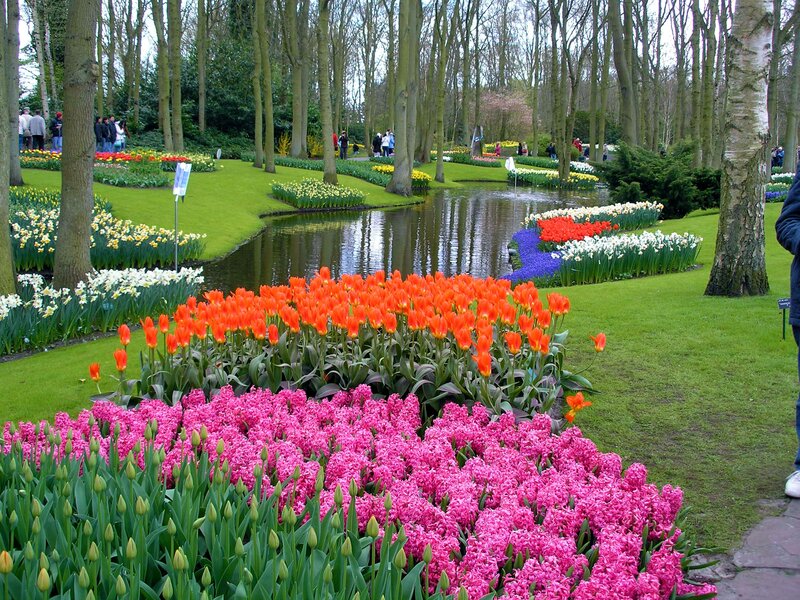 Colorful Flower Beds — Pink, Serene, Spring