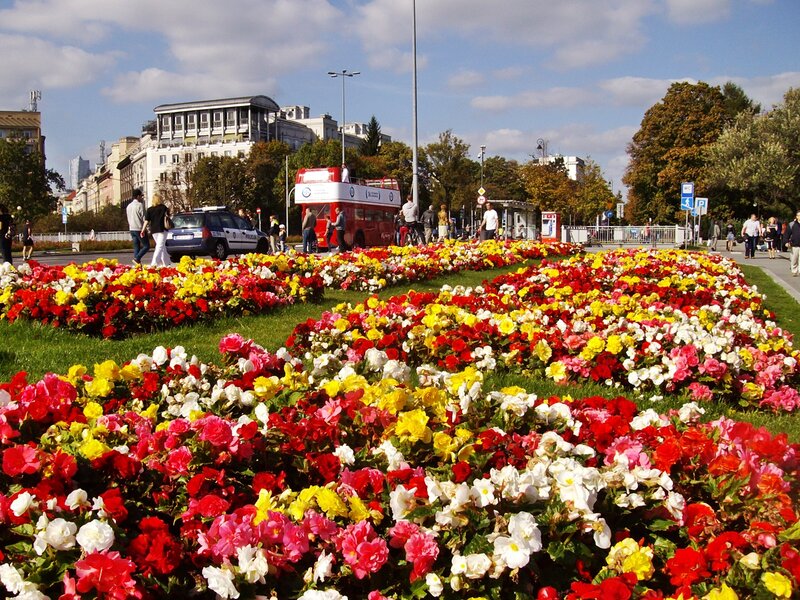 Colorful Flower Beds — Red, Lively