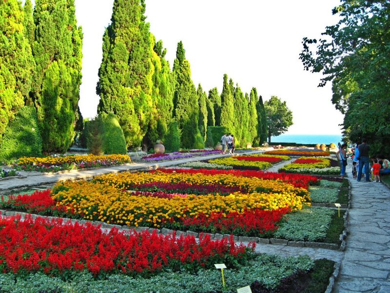 Colorful Flower Beds — Red, Serene, Afternoon