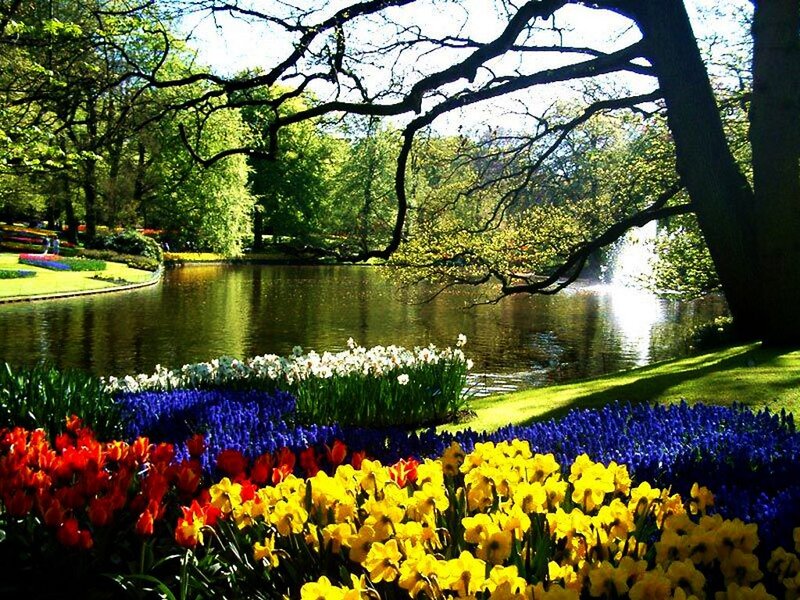 Colorful Flower Beds — Red, Serene, Spring, Photograph
