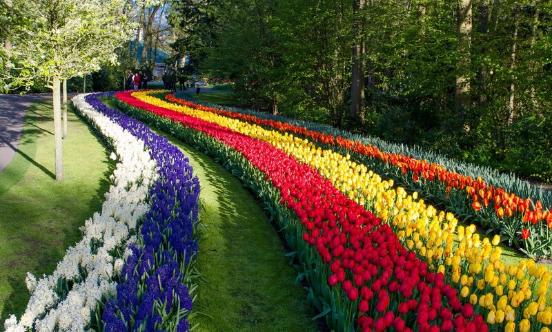 Colorful Flower Beds — Red, Serene, Spring, Photograph, Trees