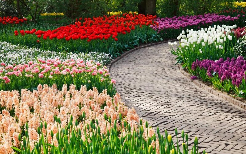 Colorful Flower Beds — Red, Serene, Spring