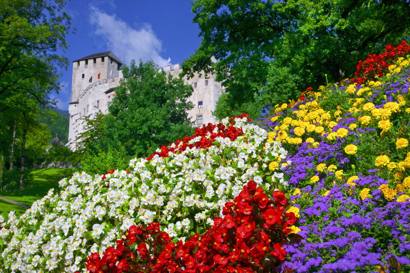 Colorful Flower Beds — Red, Serene, Summer