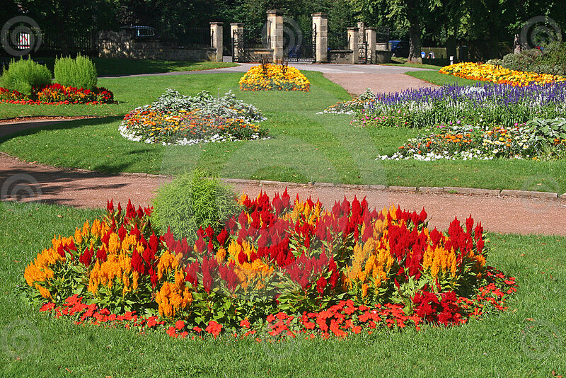 Colorful Flower Beds — Red, Serene