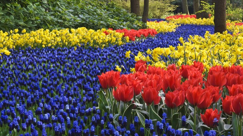 Colorful Flower Beds — Red, Vibrant, Spring