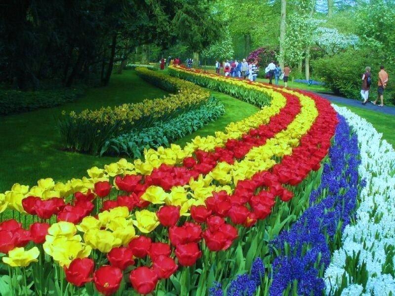 Colorful Flower Beds