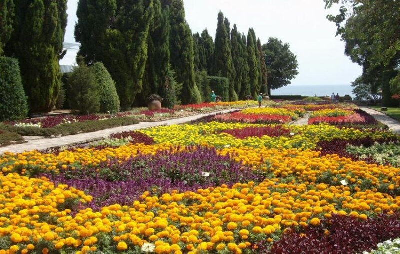 Colorful Flower Beds — Yellow