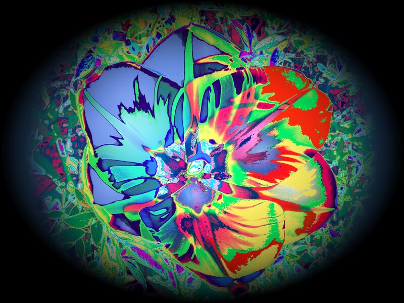Colorful Flower Bloom — Green