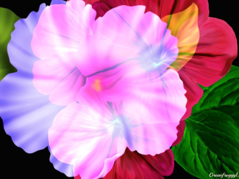 Colorful Flower Bloom — Pink, Vibrant, Digital Art