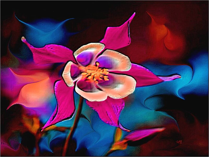 Colorful Flower Bloom — Pink, Vibrant