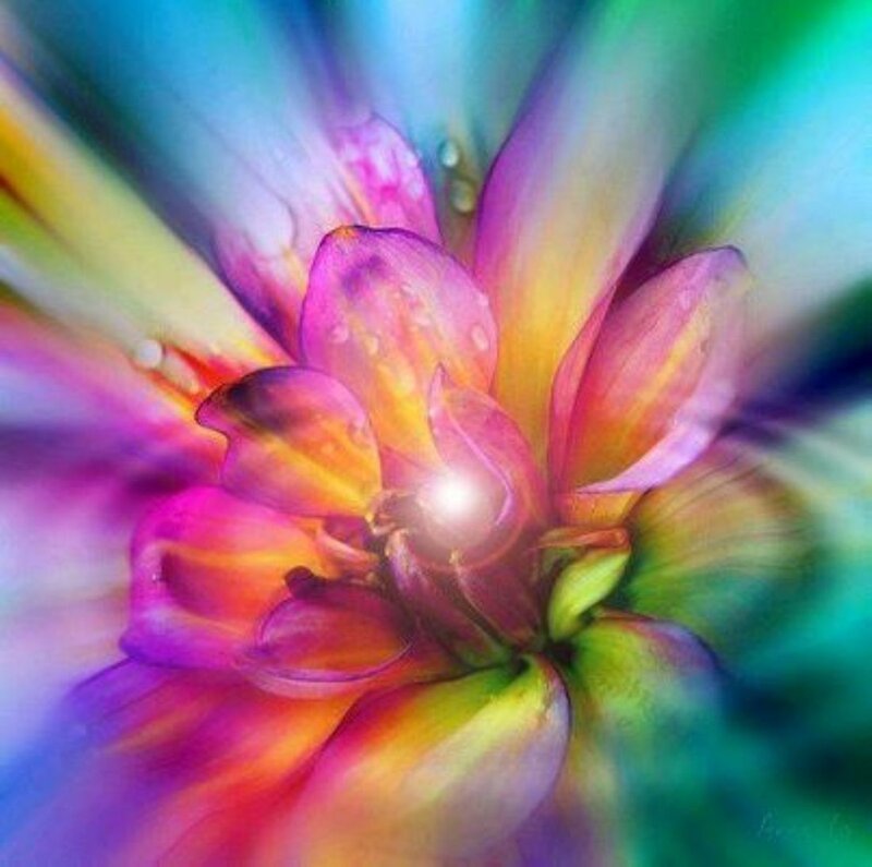 Colorful Flower Bloom — Purple