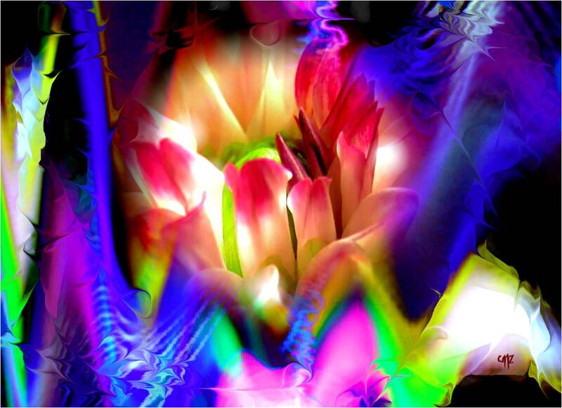 Colorful Flower Bloom — Purple, Vibrant
