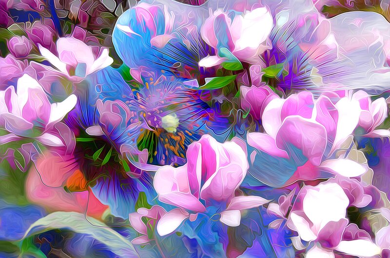 Colorful Flower Blossoms